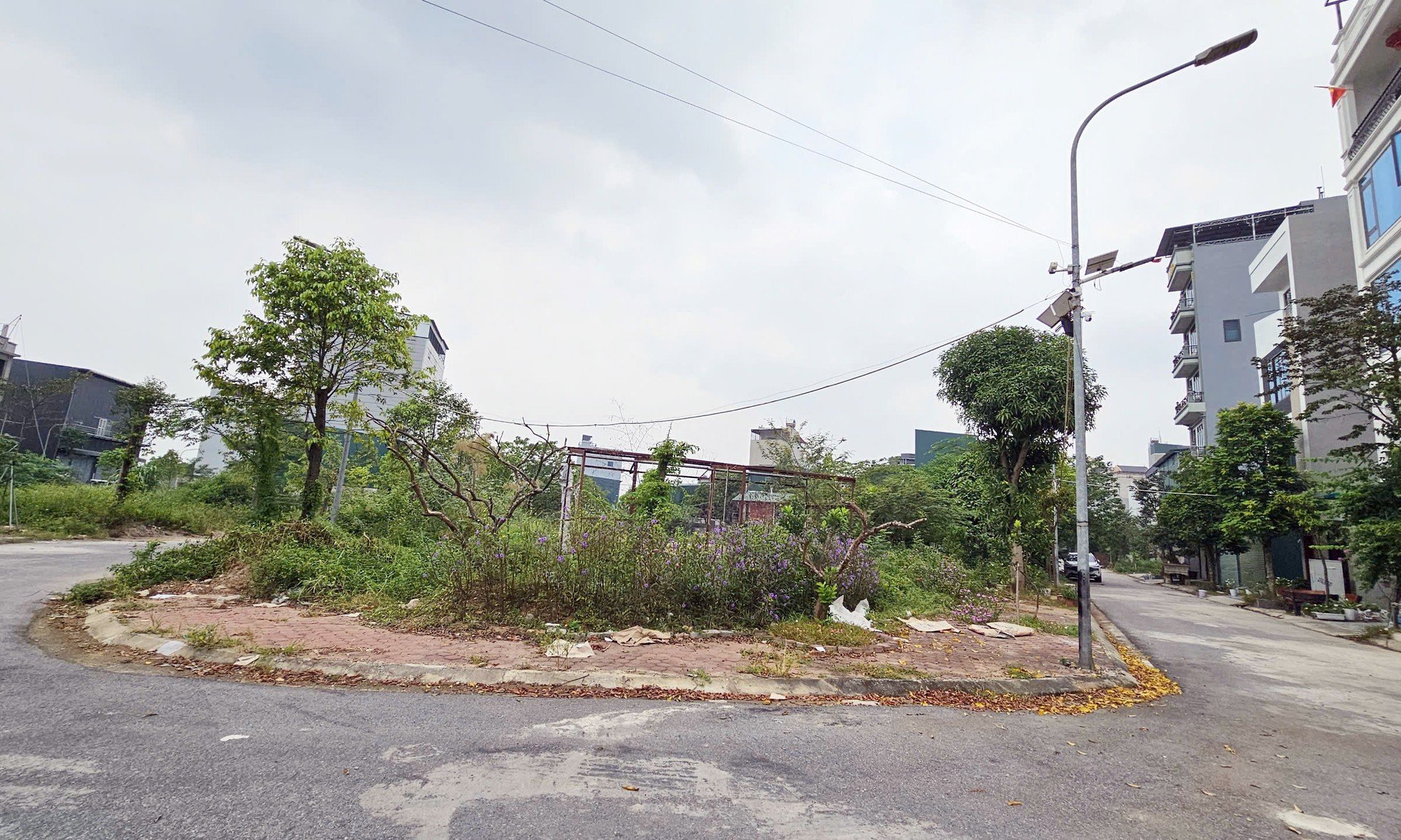 Primer plano de un terreno con vista al cementerio de Hanoi, subastado por 262 millones de VND/m2, foto 9