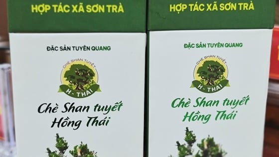 Tuyên Quang đánh giá phân hạng 7 sản phẩm OCOP