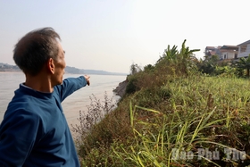 La erosión de las riberas del río amenaza a más de 100 hogares en la comuna de Dan Quyen