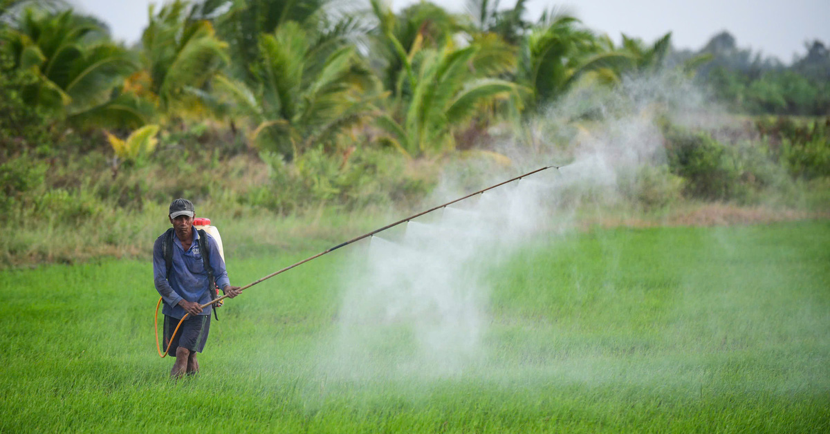 Les terres agricoles sont épuisées tandis que plus de 150 millions de tonnes de sous-produits agricoles sont gaspillés.