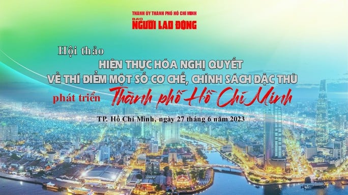 Sáng nay diễn ra hội thảo về Nghị quyết thí điểm một số cơ chế, chính sách đặc thù phát triển TP HCM - Ảnh 1.