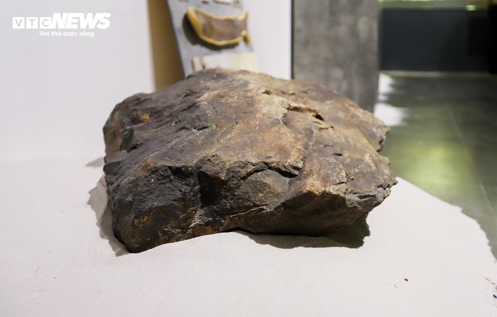 Close-up of billion-year-old fossils on display in Hanoi - 4
