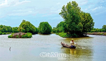 Shrimp farmers wait for… price