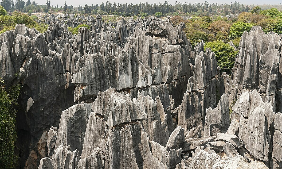 Bosque de piedras tan afiladas como cuchillos en China