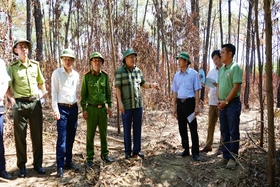 Inspektion der Waldbrandpräventions- und -bekämpfungsmaßnahmen im Distrikt Vinh Linh