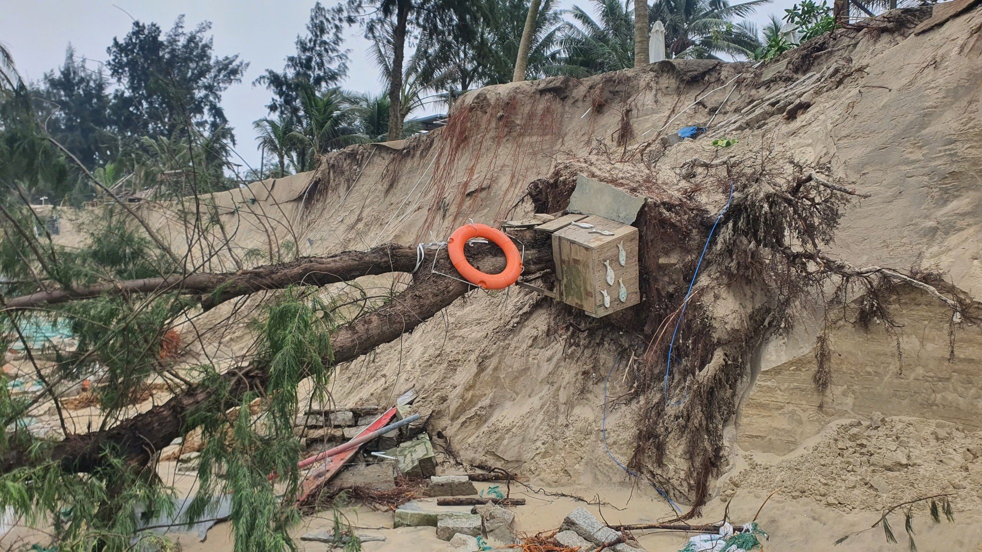 Primer plano del deslizamiento de tierra en la playa de Hoi An que obligó a declarar el estado de emergencia (foto 9)