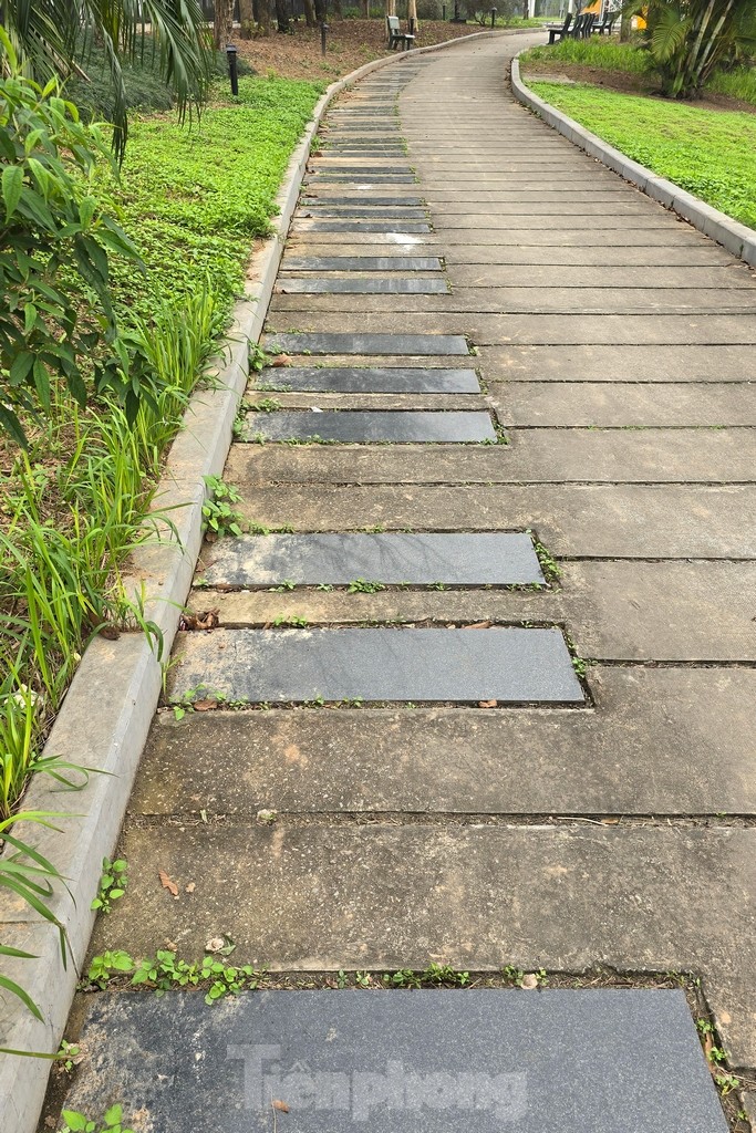 Estado actual del parque con forma de guitarra valorado en 200 mil millones de dongs en Hanoi foto 4