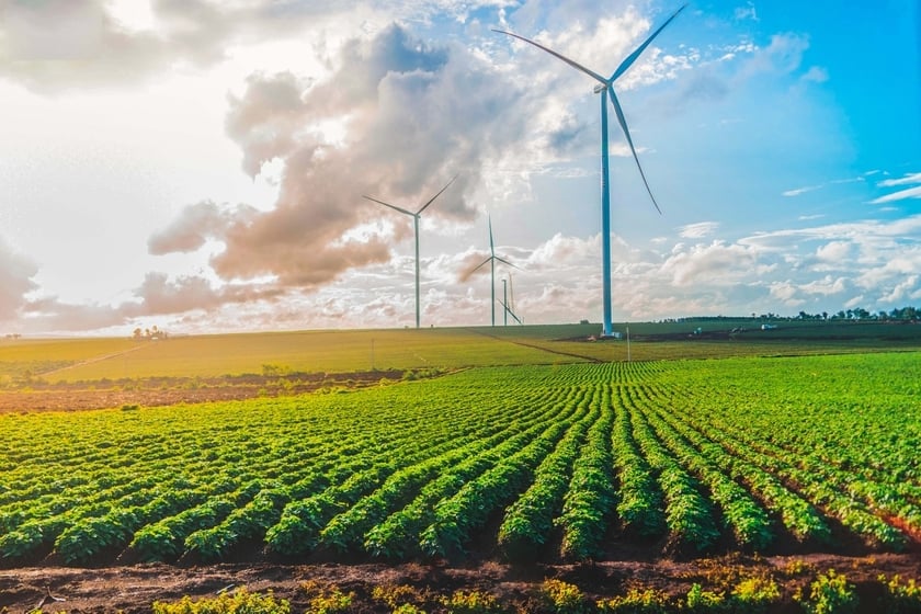 Aufforderung an das Ministerium für Industrie und Handel, EVN dringend anzuweisen, mit Investoren im Bereich Wind- und Solarenergie zu verhandeln | Elektronische Zeitung Gia Lai