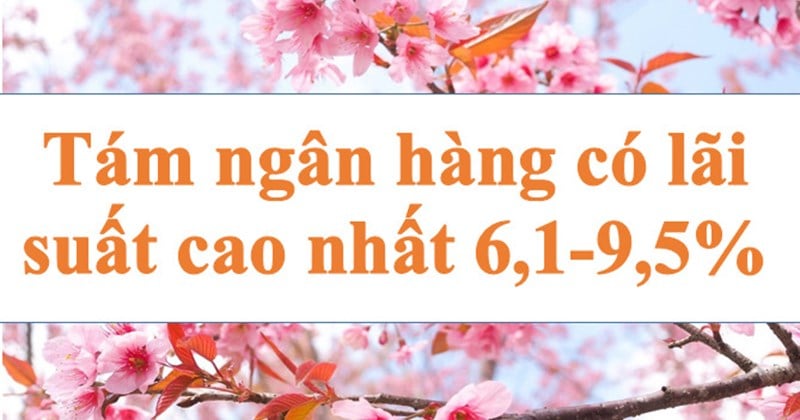 Lãi suất ngân hàng hôm nay 15.8: Tám ngân hàng 6,1-9,5%