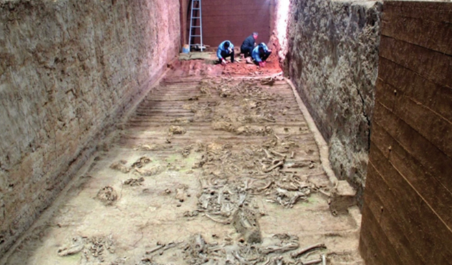 Seltsame Skelette im Mausoleum von Qin Shi Huang: Auch Tiere wurden begraben - 3