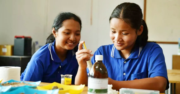 Helfen Sie Kindern, durch praktische Forschung die Liebe zur Wissenschaft zu entwickeln