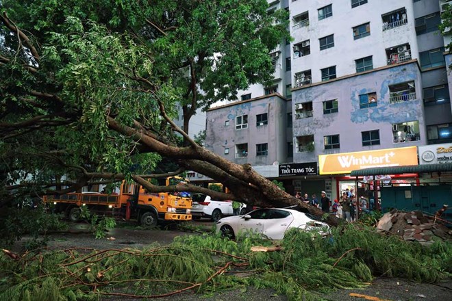 Bảo hiểm bồi thường 7.000 tỉ đồng thiệt hại do bão lũ