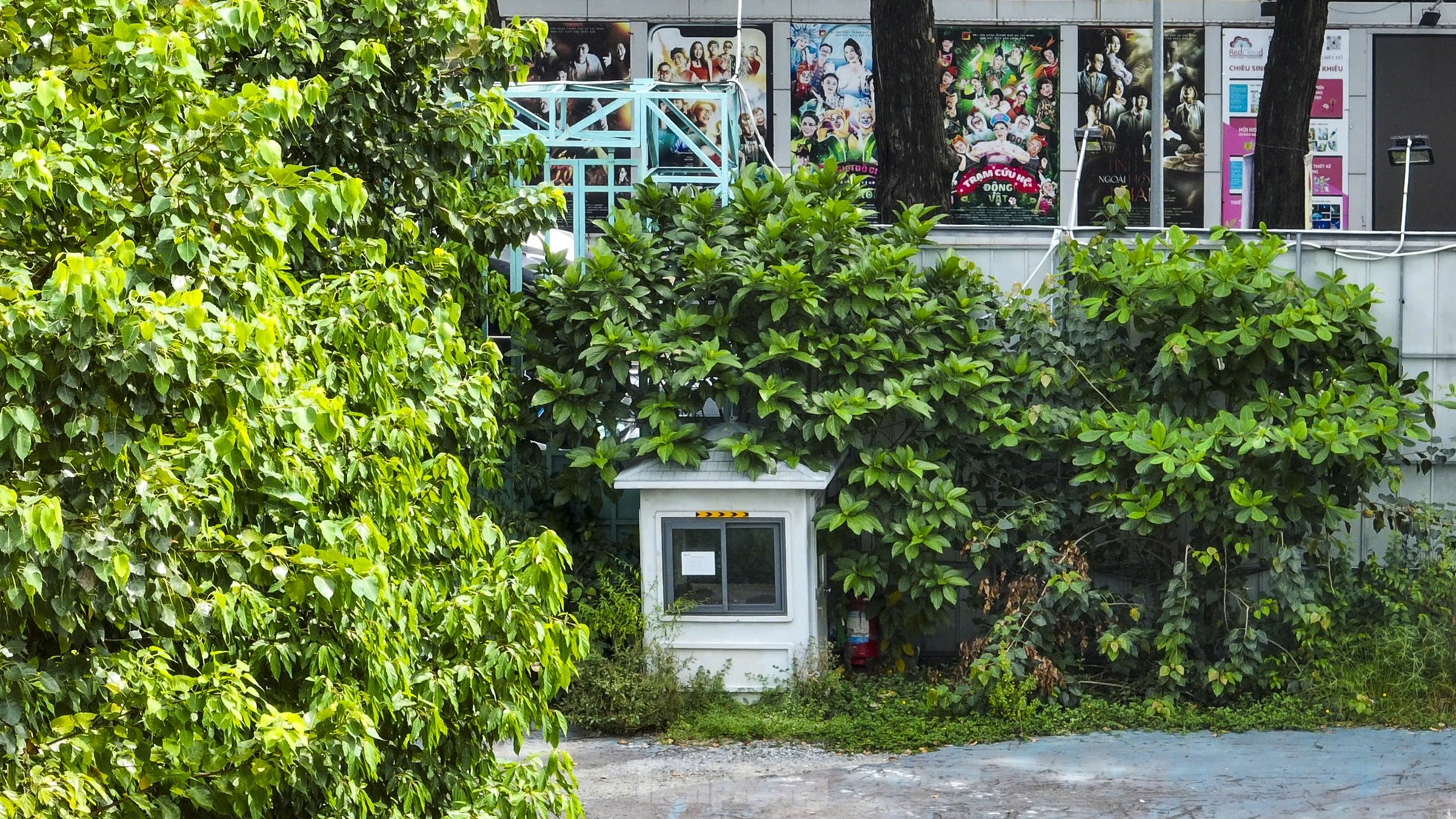 Scene of overgrown weeds in a trillion-dollar stadium on 'golden land' in Ho Chi Minh City photo 7