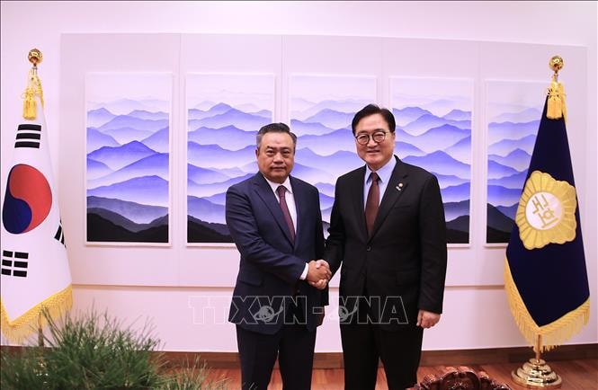 Chairman of Hanoi People's Committee Tran Sy Thanh and Chairman of the National Assembly of the Republic of Korea Woo Won Shik. Photo: VNA