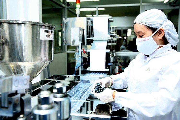 Vietnam has the potential to become a regional pharmaceutical and healthcare hub with the ability to export pharmaceuticals to countries in the ASEAN region. Illustrative photo