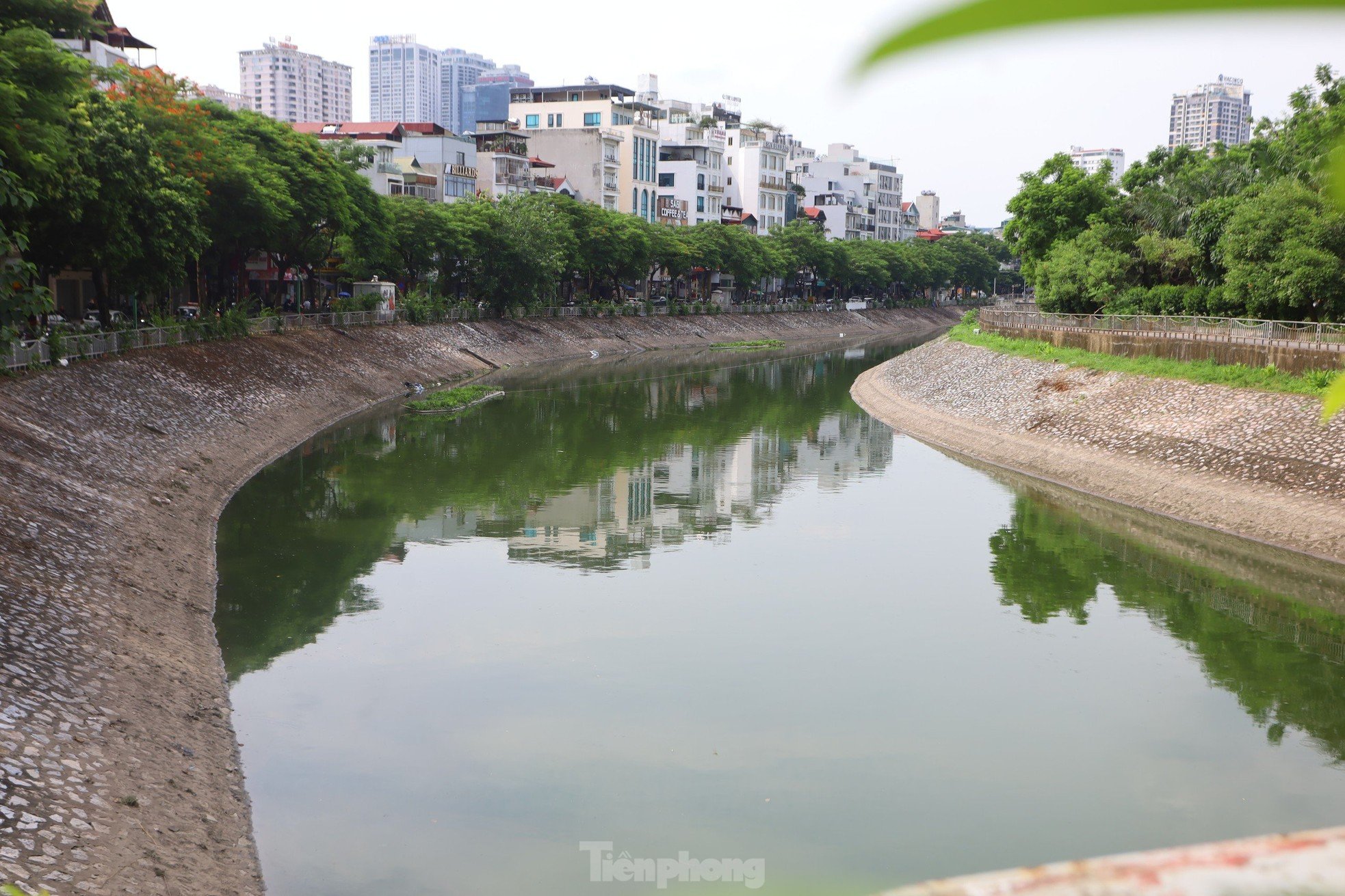 Nước chuyển màu xanh như nước Hồ Gươm, sông Tô Lịch bỗng 'nên thơ, trữ tình' ảnh 12