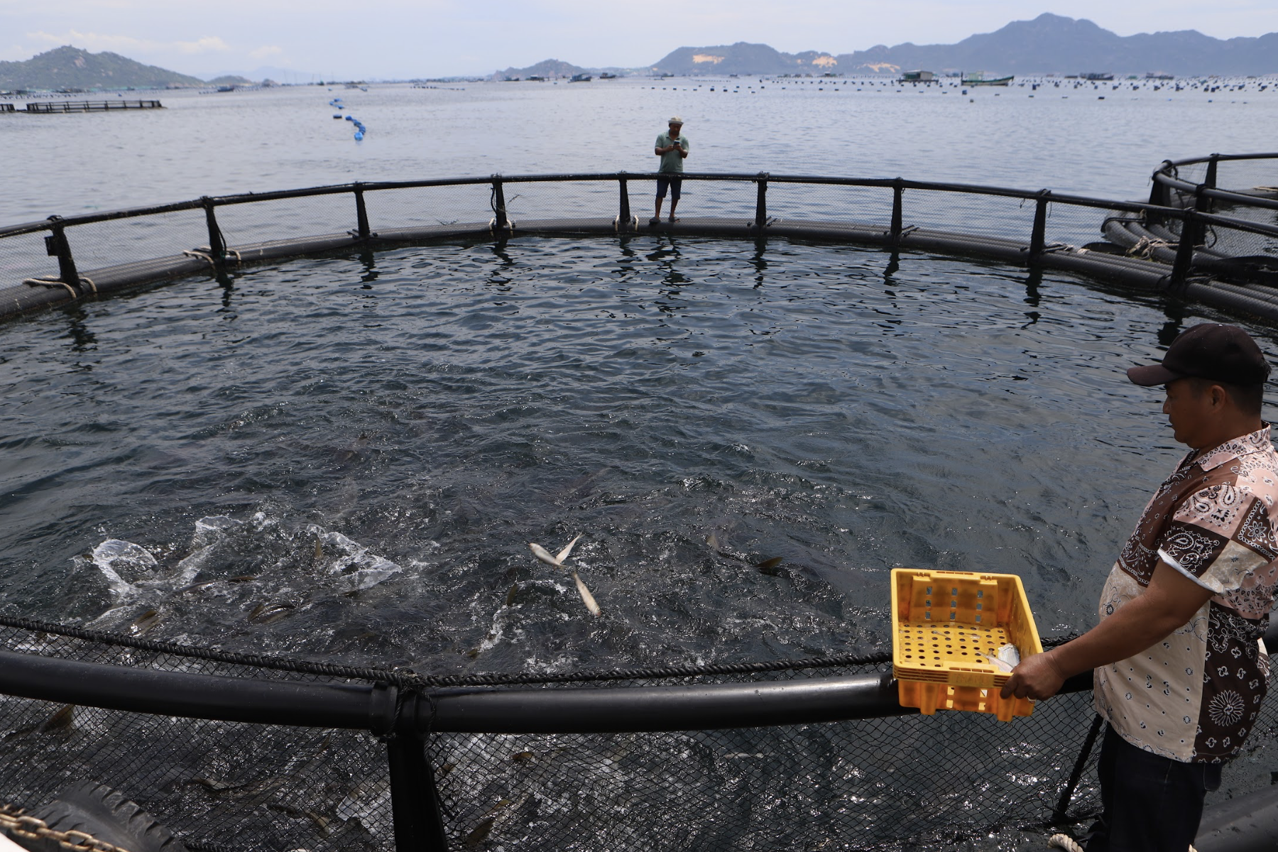 L'élevage marin de haute technologie au milieu de l'océan permet aux pêcheurs de Khanh Hoa de gagner des milliards