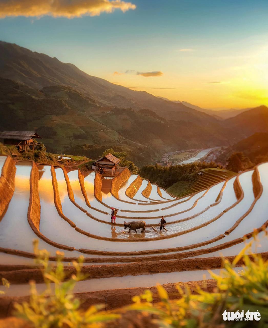 Bà con người Mông tại huyện Mù Cang Chải (Yên Bái) đang cày ải trên một thửa ruộng bậc thang - Ảnh: KEVIN NGUYỄN