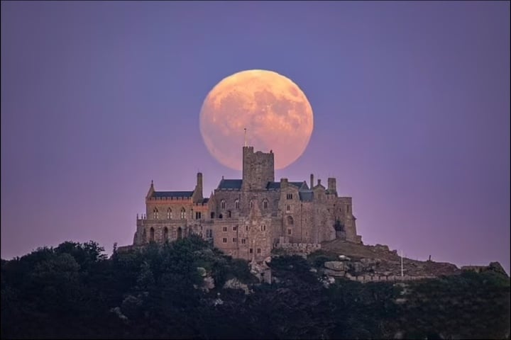 Habrá cuatro superlunas que ocurrirán en 2023 el 3 de julio, el 1 de agosto, el 31 de agosto y el 29 de septiembre. (Foto: Agencia de Noticias Animales)