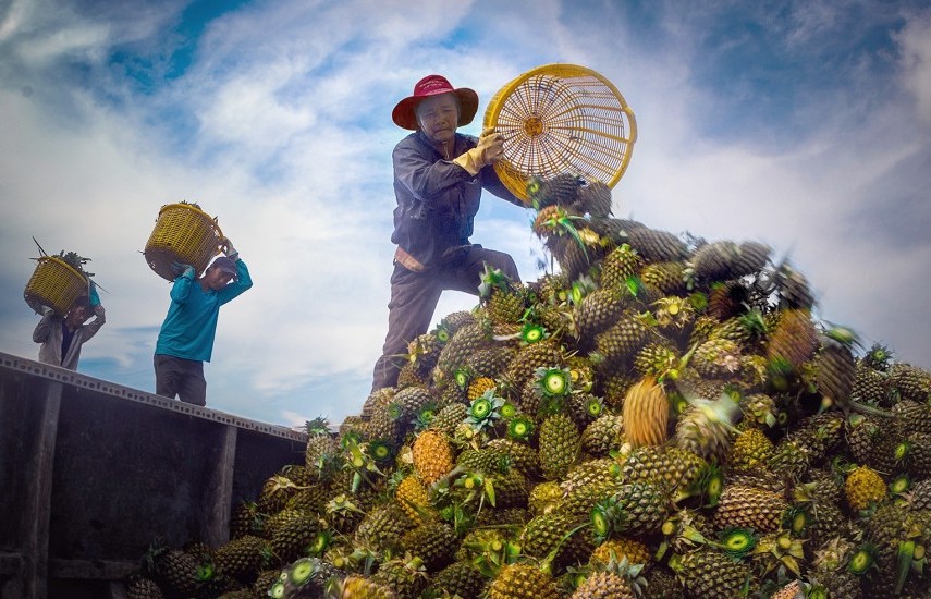 ប្រើប្រាស់ការលើកទឹកចិត្តពី FTAs ​​ឱ្យកាន់តែប្រសើរឡើង ដើម្បីជំរុញការនាំចេញអង្ករ និងបន្លែ