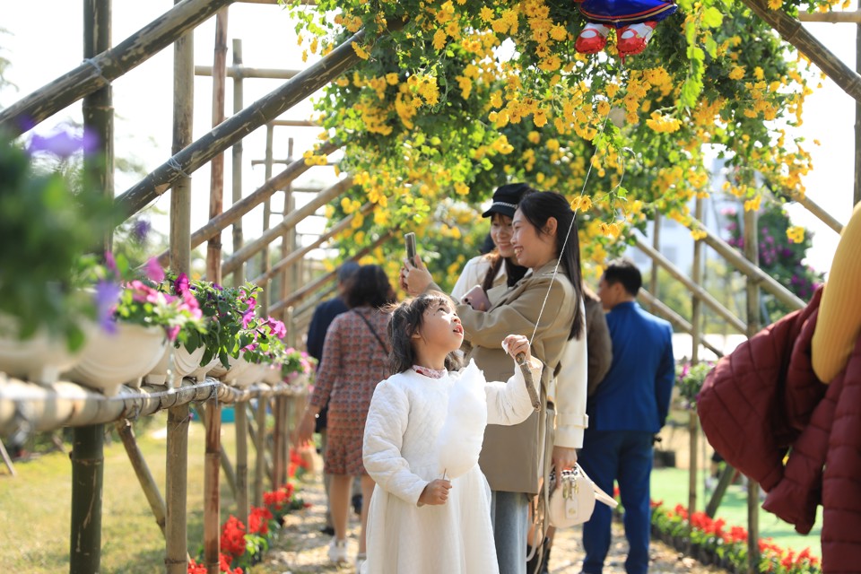 주말마다 메린 꽃 축제에 몰려드는 관광객들 - 사진 4