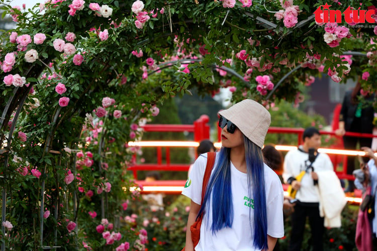 People flock to Me Linh to check-in at the Flower Festival