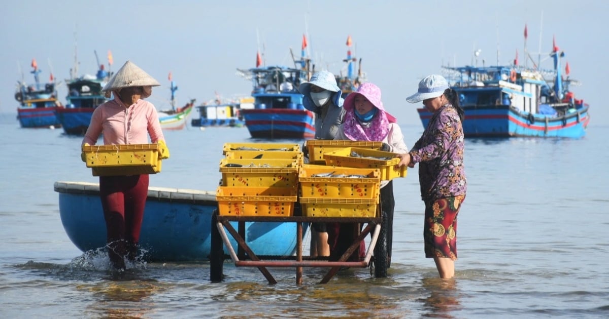 Chợ cá nơi "nghĩa địa tàu cổ"