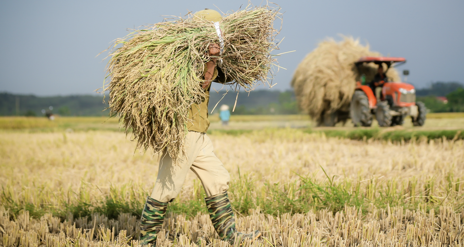 Carbon credits are being priced at $20, if they are not collected they will be a loss.