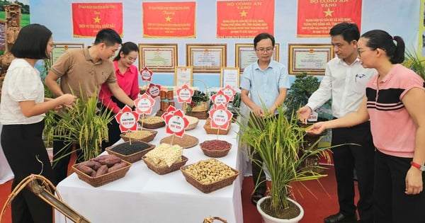 Les produits OCOP sont exposés lors de l'exposition célébrant la fondation de la ville de Dong Hoi dans la province de Quang Binh.