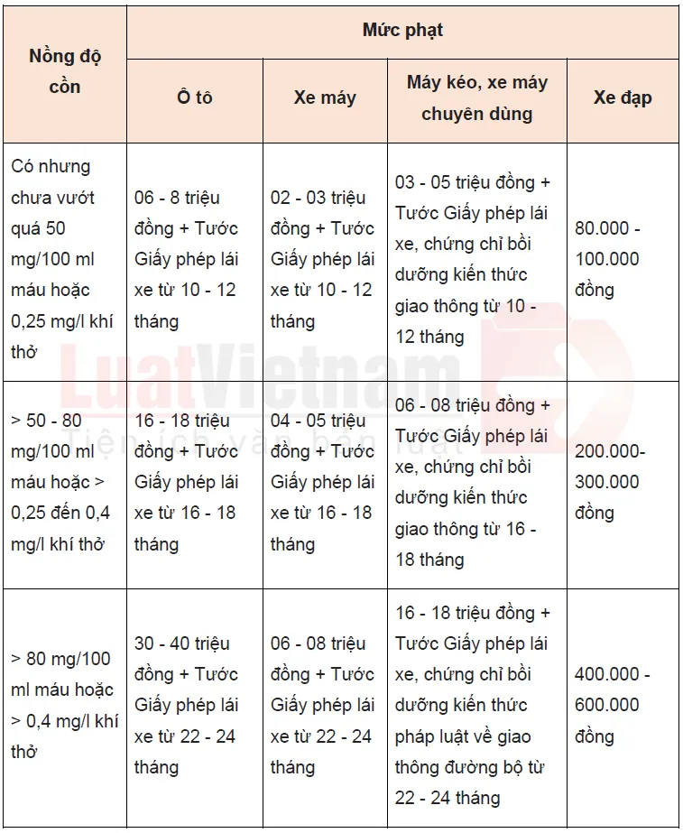 Mất bao lâu để hết nồng độ cồn tránh bị phạt khi lái xe?