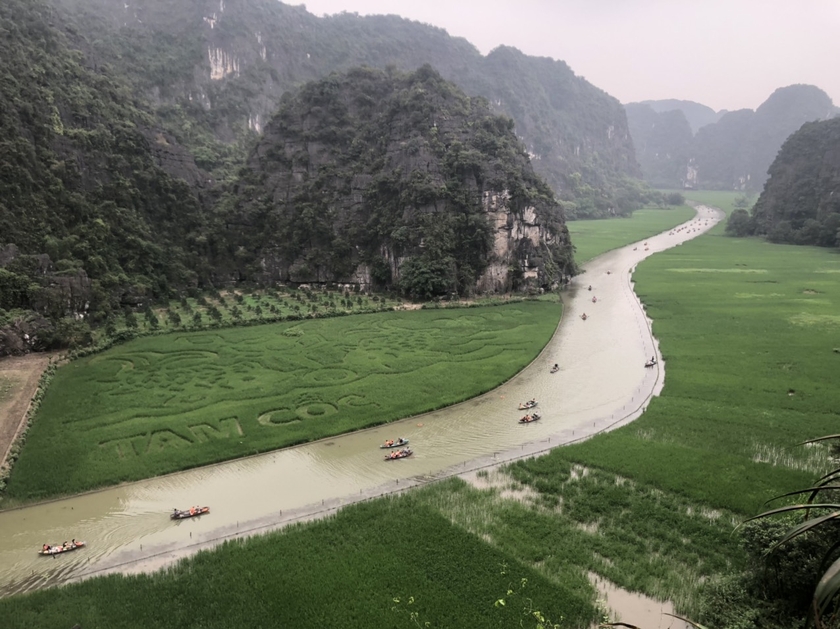 Ninh Binh steht kurz vor der Eröffnung eines 9.500 m2 großen karpfenförmigen Reisfeldes. Foto 1