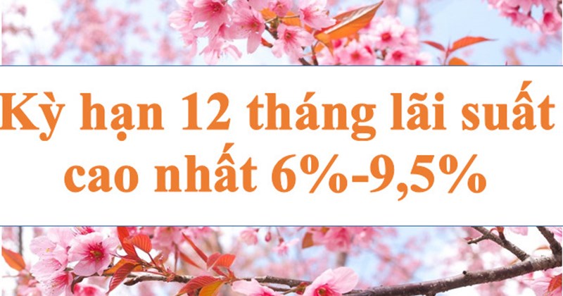 Kỳ hạn 12 tháng lãi suất cao nhất 6%-9,5%