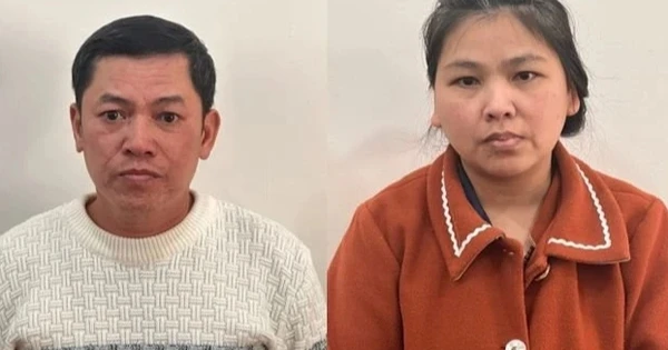 Couple forged land book and defrauded 19.7 billion VND and fell into the net