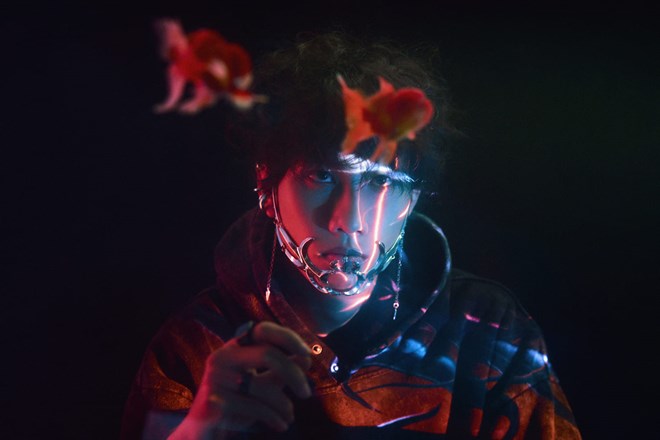 ベトナムのアーティストと世界で10億回再生されたEDMの伝説とのコラボレーション