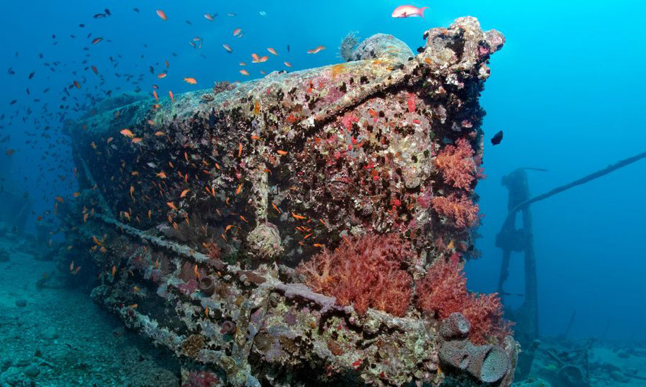 Wie viele Schiffswracks gibt es im Meer?