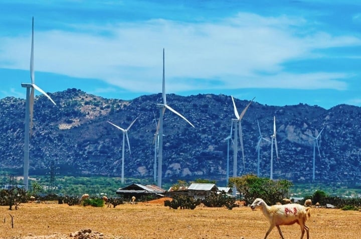 Prix ​​provisoire anticipé pour les projets d'énergie renouvelable qui n'ont pas le temps de bénéficier de tarifs préférentiels - 1