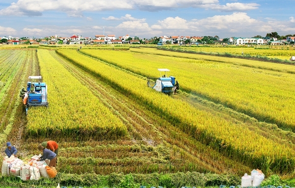 Bộ chỉ tiêu giám sát, đánh giá về nông nghiệp, nông dân và nông thôn gồm 51 chỉ tiêu (Ảnh IT)