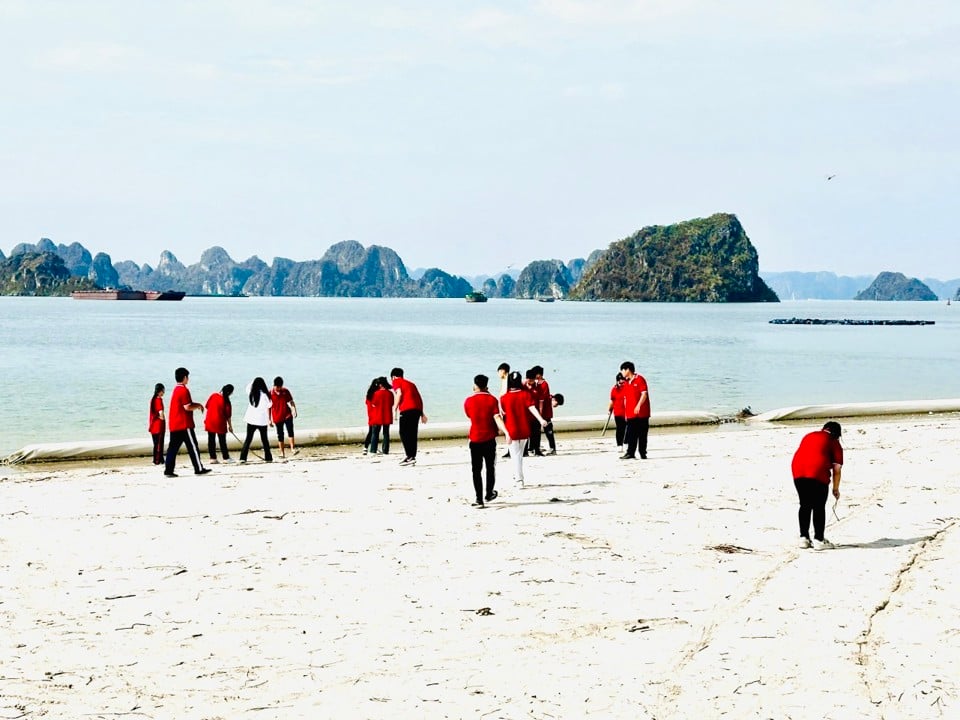 Des bénévoles ramassent les déchets sur la plage.