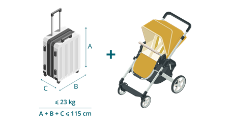Bagages enregistrés pour les enfants de moins de 2 ans.