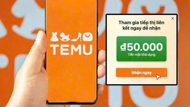 Temu có đe dọa bán lẻ trong nước