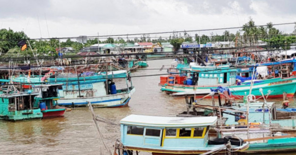 Ca Mau verschärft die Kontrolle der „drei Nein“-Fischerboote