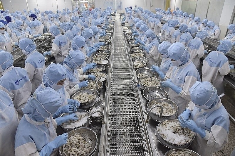 Les exportations de fruits de mer rapportent 8,3 milliards USD au Vietnam en 10 mois