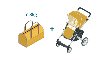 Bagages à main pour les enfants de moins de 2 ans.