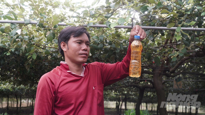 Anh Toàn ứng dụng phòng trừ sâu bệnh bằng các giải pháp sinh học, đảm bảo táo đạt chuẩn hữu cơ. Ảnh: Trần Trung.