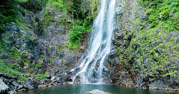 Limitando dos distritos de la provincia de Quang Tri, hay una cascada llamada Ba Voi, el agua fluye hermosamente así.