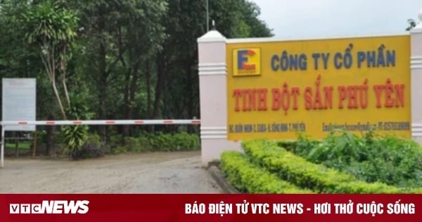 Una empresa de Phu Yen fue multada con casi 3.400 millones de VND por contaminar el medio ambiente.