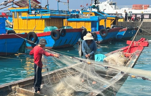 La "tarjeta amarilla" de la pesca INDNR: abordar las deficiencias para acoger a la delegación de inspección de la CE