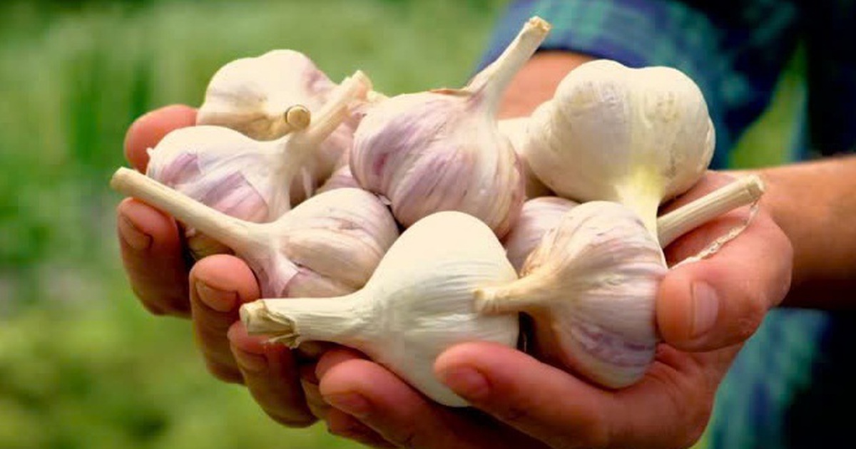 Experts share the best way to eat garlic to maximize benefits