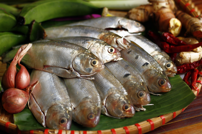 Loại cá bé xíu thơm ngon, giàu dinh dưỡng và Omega 3 rất tốt cho tim mạch- Ảnh 3.