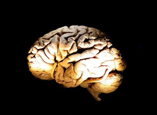 Brain “aging” is a condition in which “diseased” or “aged” brain cells are present in large numbers and secrete harmful substances that prevent the normal functioning and recovery of surrounding brain cells. (Source: AFP/GettyImages)